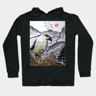 Raptor of the Mountain Hoodie